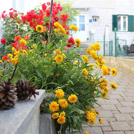 Cetina Apartamento *